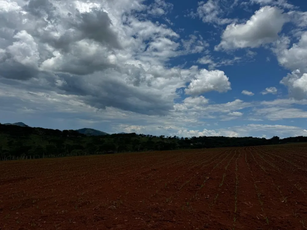 Terreno, 5000 m² - Foto 5