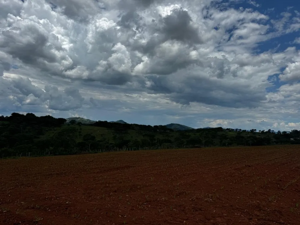 Terreno, 5000 m² - Foto 3