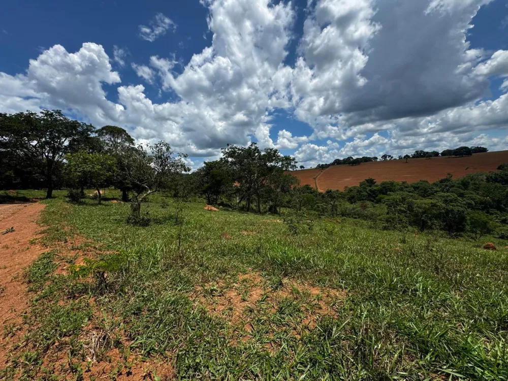 Terreno, 5000 m² - Foto 4