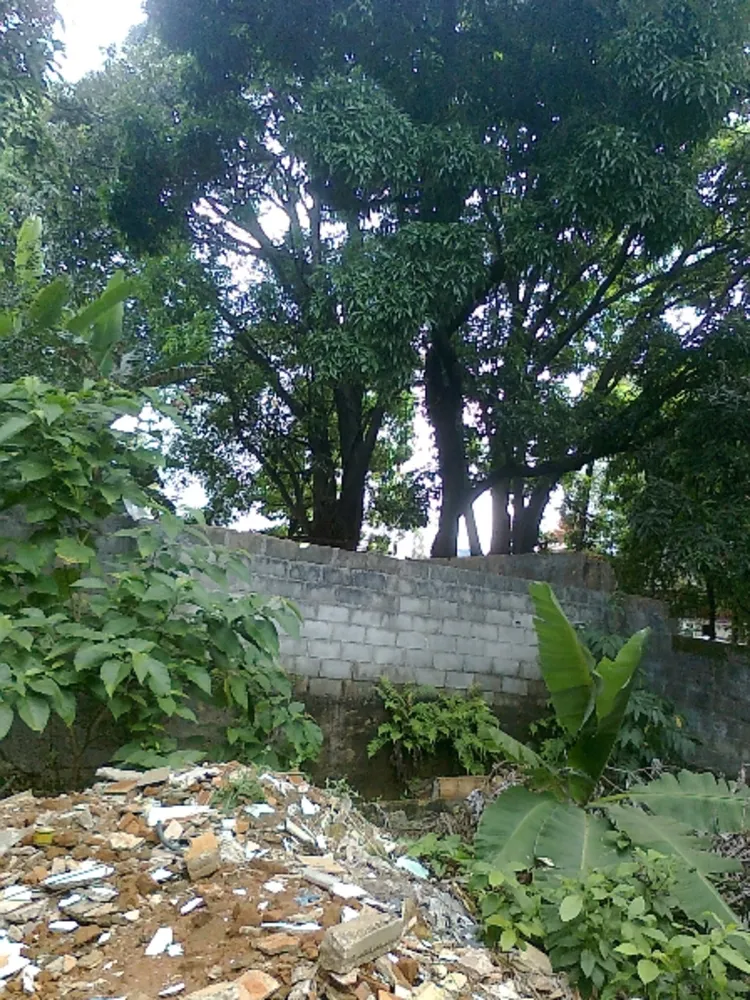 Casa, 5 quartos, 200 m² - Foto 9
