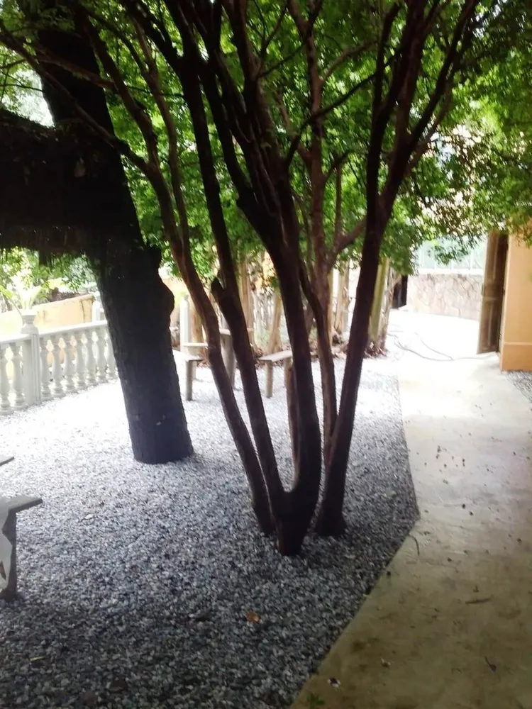 Casa, 5 quartos, 200 m² - Foto 5