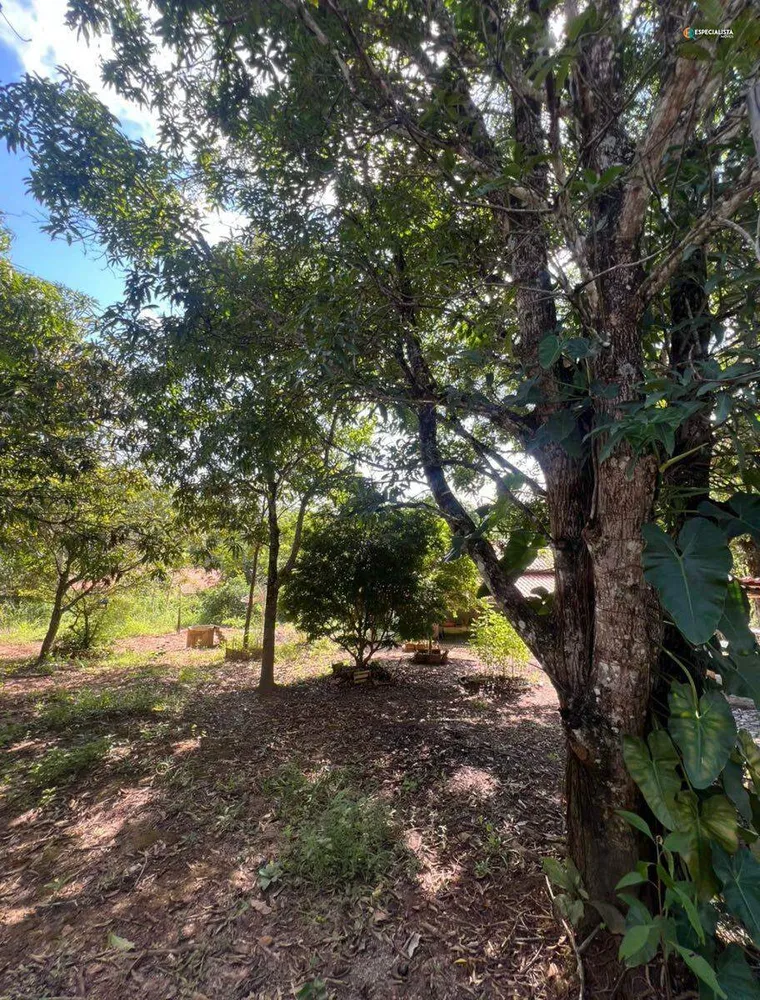 Chácara, 2 quartos, 2300 m² - Foto 2