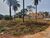 Terreno, 543 m² - Foto 4
