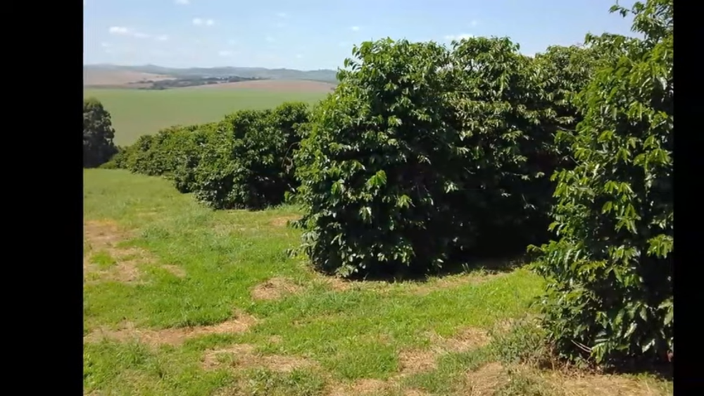 Fazenda à venda com 3 quartos, 3650000m² - Foto 10