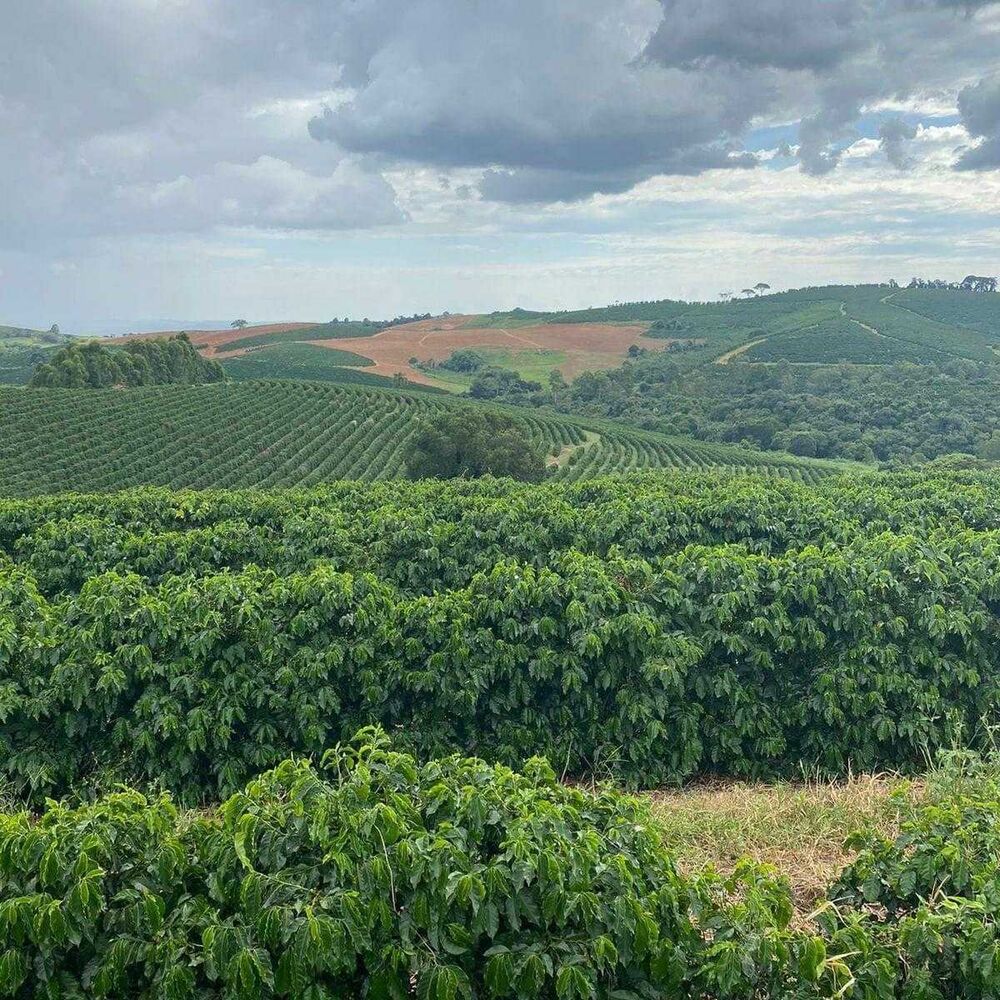 Fazenda à venda com 3 quartos, 3650000m² - Foto 3