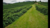 Fazenda, 3 quartos - Foto 1