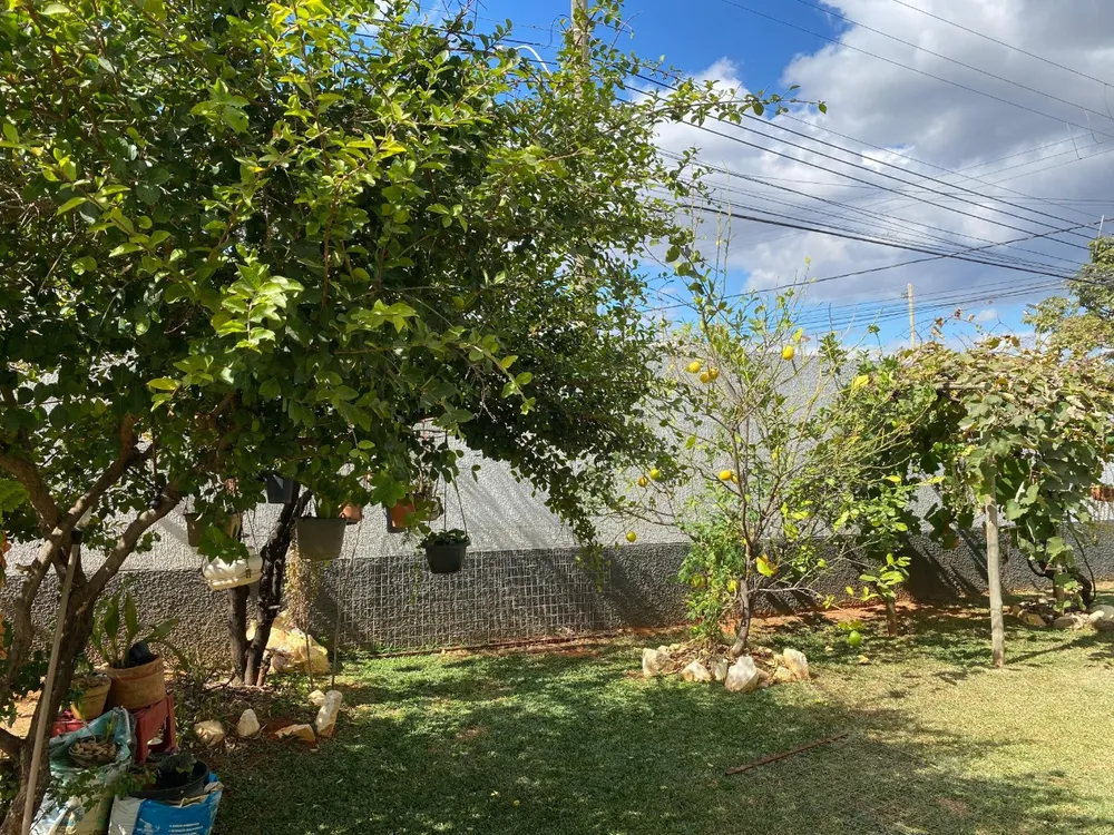 Casa, 3 quartos, 260 m² - Foto 5