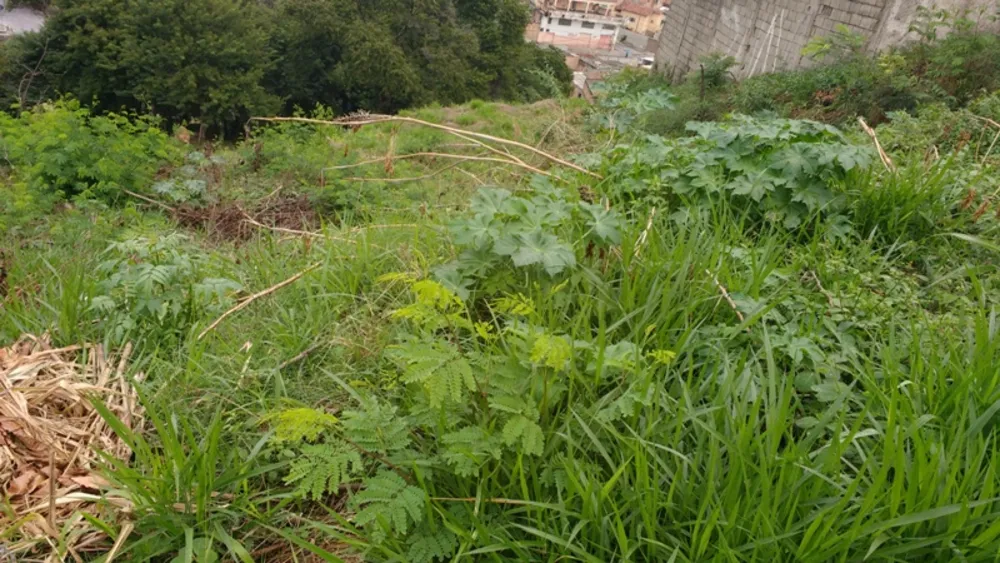 Terreno, 3886 m² - Foto 1