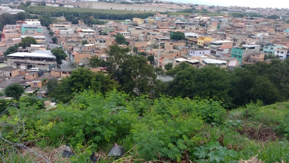 Terreno, 3886 m² - Foto 2
