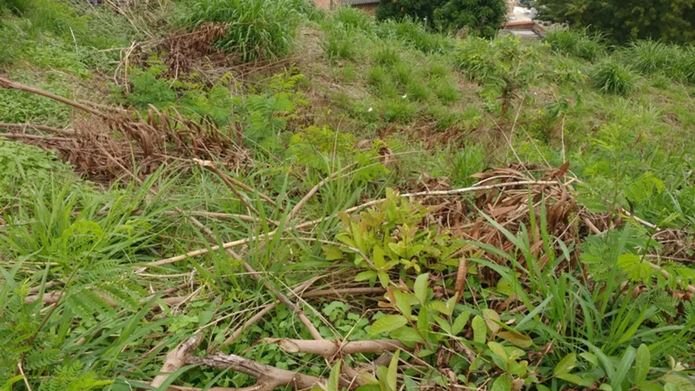 Terreno, 3886 m² - Foto 6