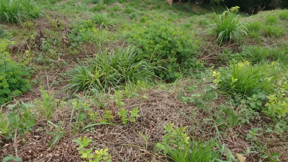 Terreno, 3886 m² - Foto 8
