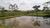 Fazenda, 206 hectares - Foto 4