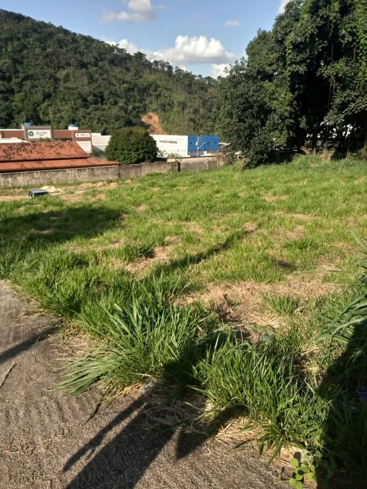 Terreno, 1625 m² - Foto 5