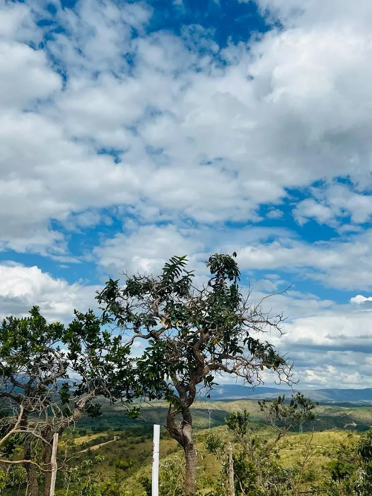 Chácara à venda com 1 quarto, 20000m² - Foto 6