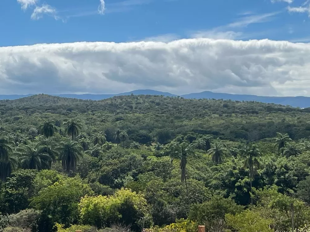 Chácara à venda com 1 quarto, 20000m² - Foto 5