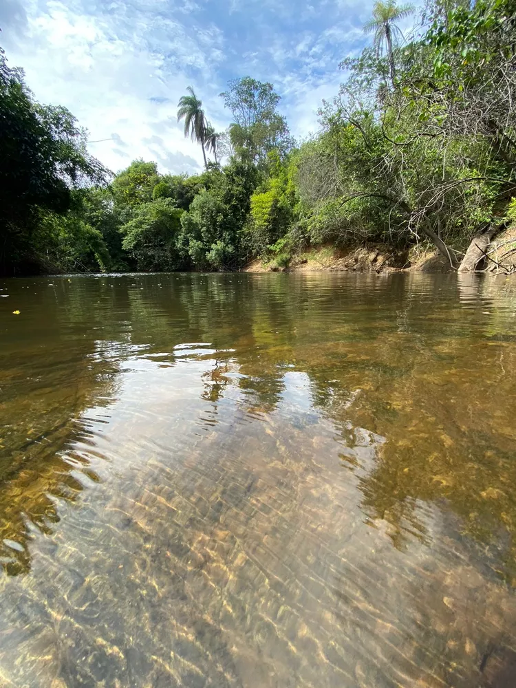 Chácara à venda com 1 quarto, 20000m² - Foto 8