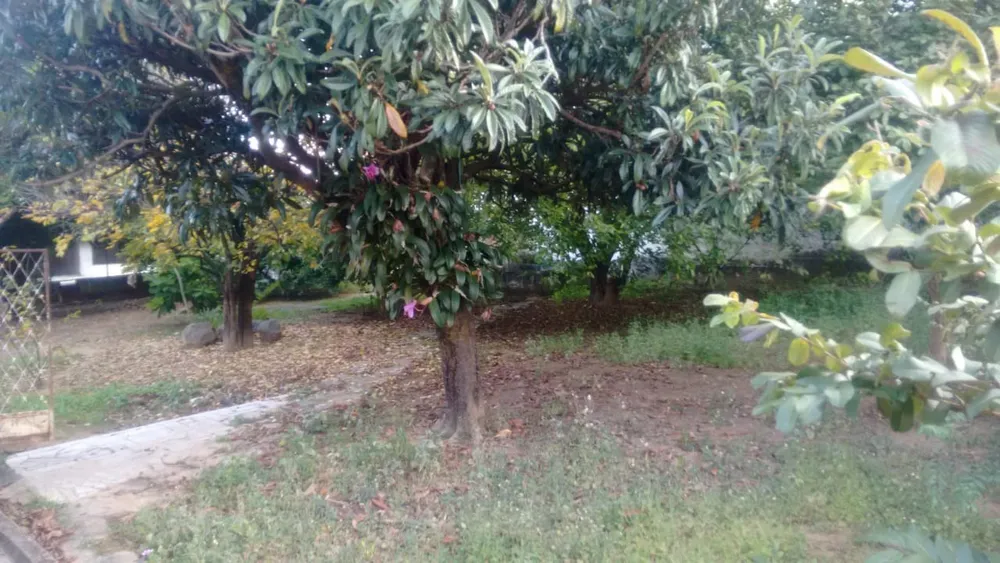 Casa, 5 quartos, 1350 m² - Foto 4