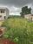 Terreno, 300 m² - Foto 4