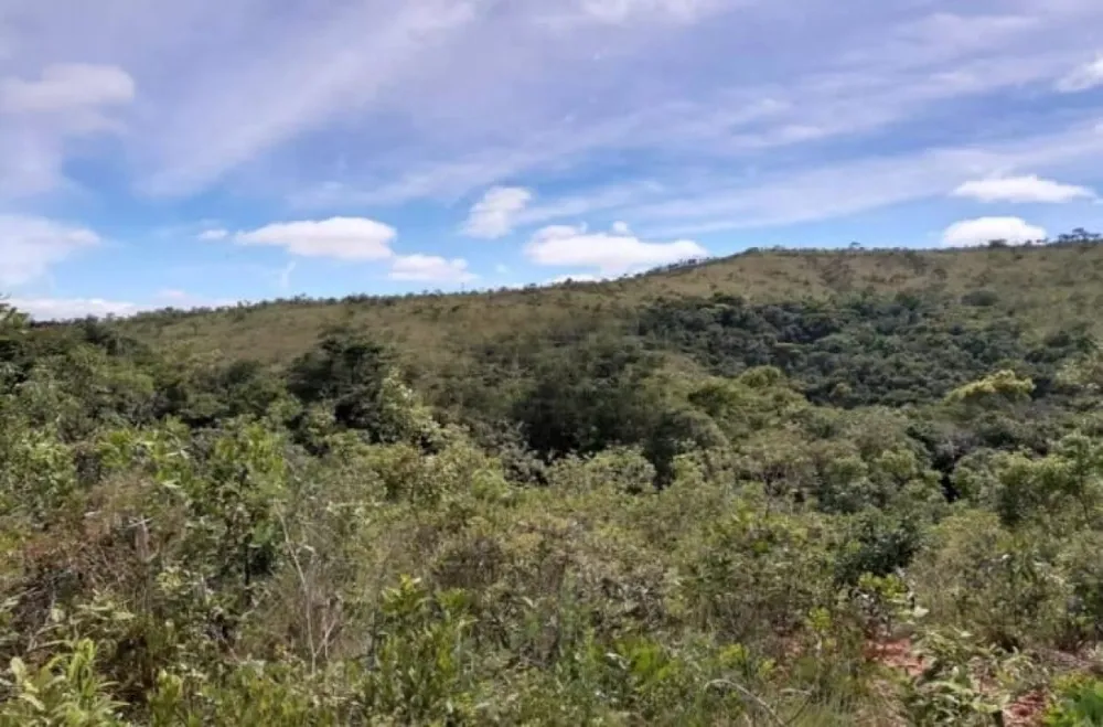 Chácara, 1 quarto, 10 hectares - Foto 1