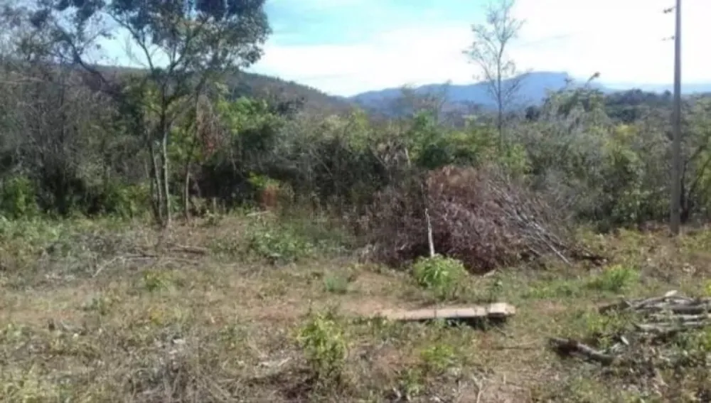 Chácara, 1 quarto, 10 hectares - Foto 3