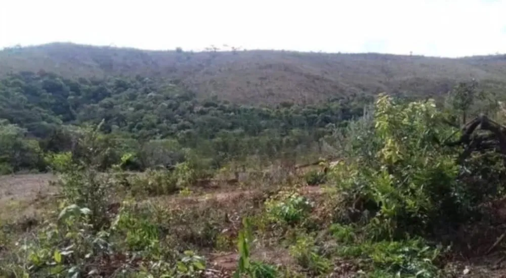 Chácara, 1 quarto, 10 hectares - Foto 4