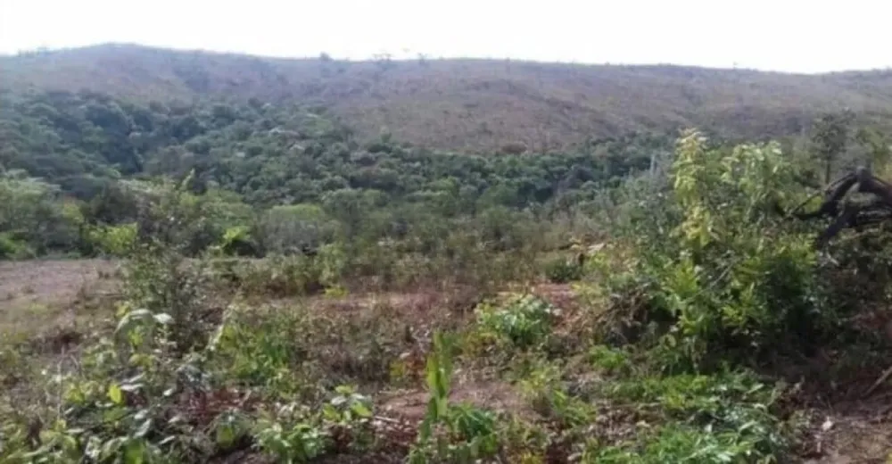 Chácara, 1 quarto, 10 hectares - Foto 8