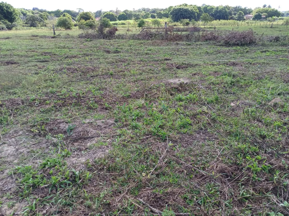 Sítio, 3 quartos, 2 hectares - Foto 3