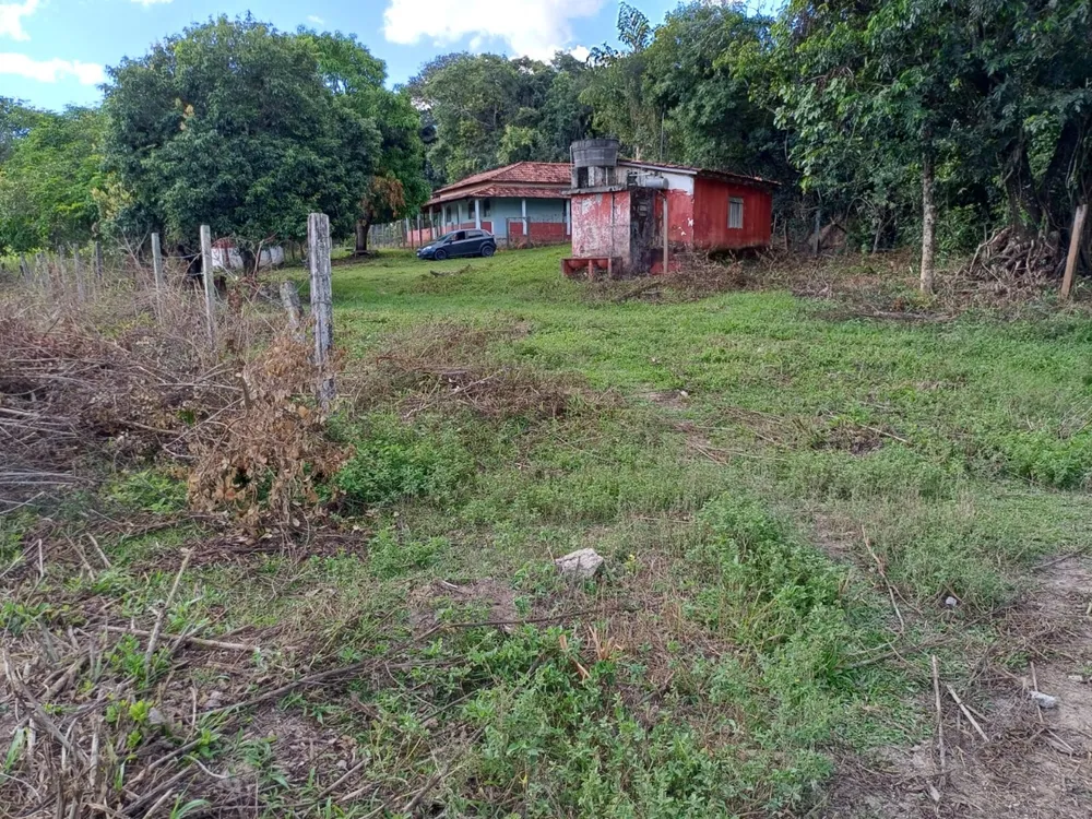 Sítio, 3 quartos, 2 hectares - Foto 4