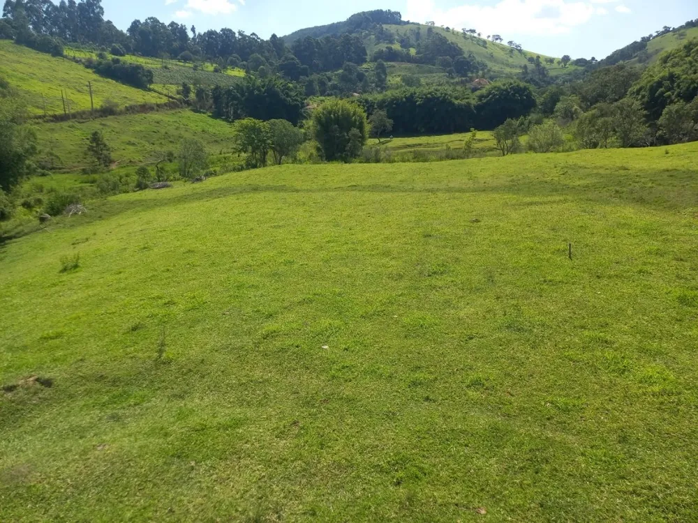 Sítio, 1 quarto, 35 hectares - Foto 3