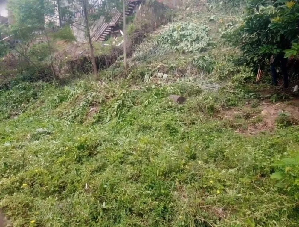 Terreno, 394 m² - Foto 6