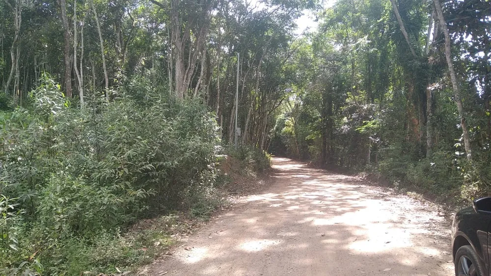 Chácara, 1 quarto - Foto 3