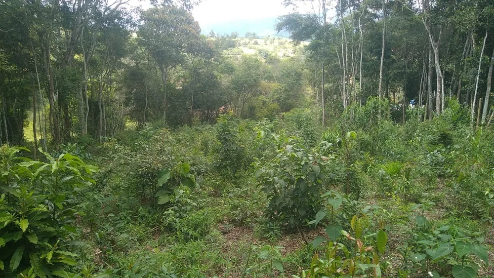 Chácara, 1 quarto - Foto 2