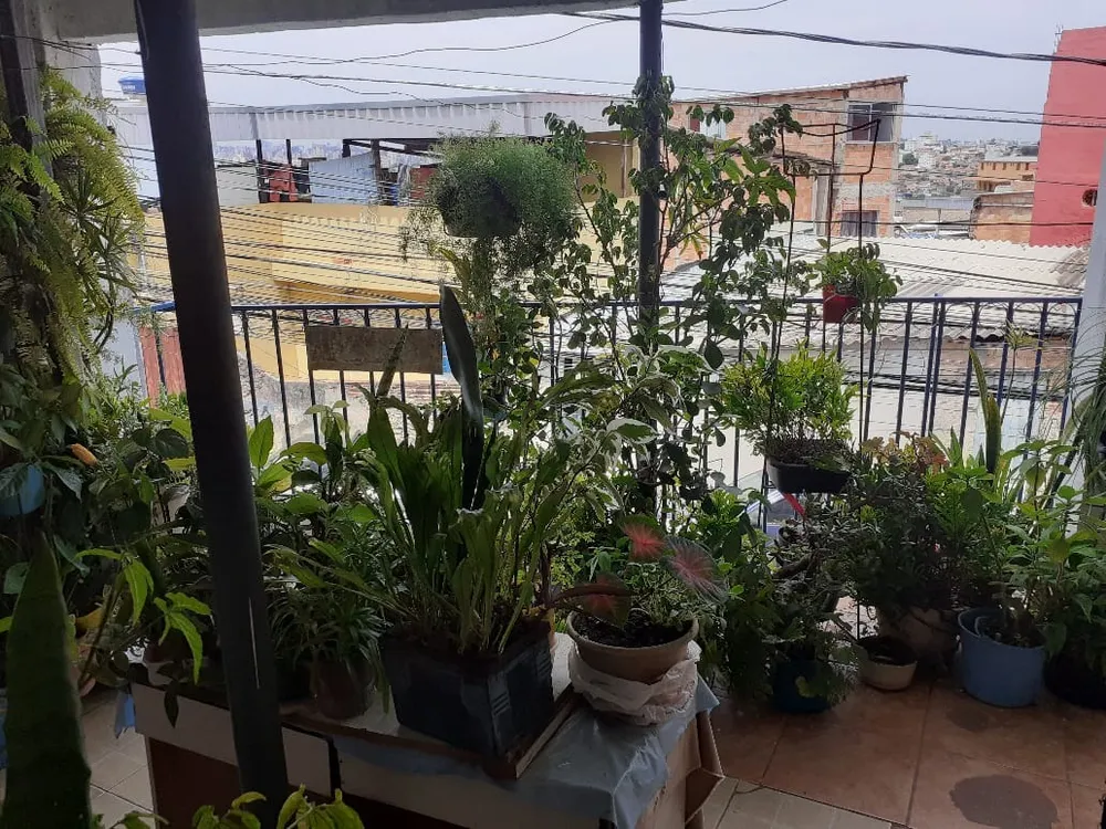 Casa, 4 quartos, 170 m² - Foto 11
