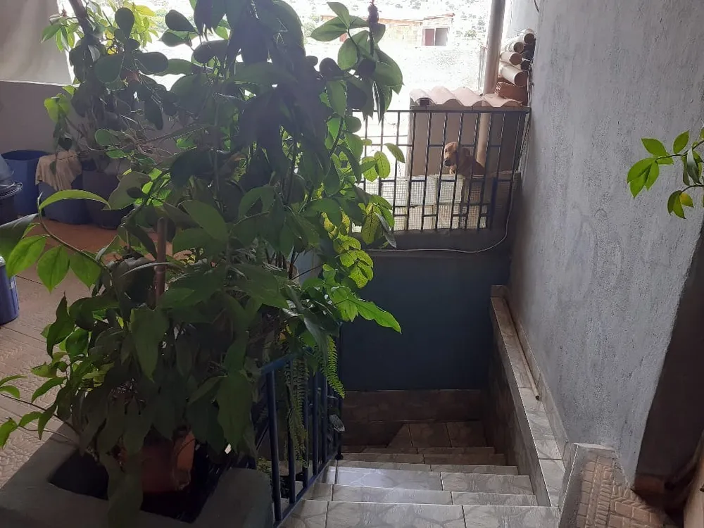 Casa, 4 quartos, 170 m² - Foto 12