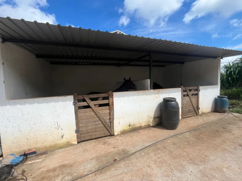 Sítio, 1 quarto, 16 hectares - Foto 1