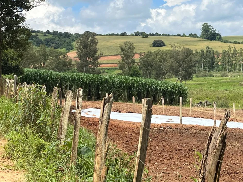Sítio, 1 quarto, 16 hectares - Foto 6