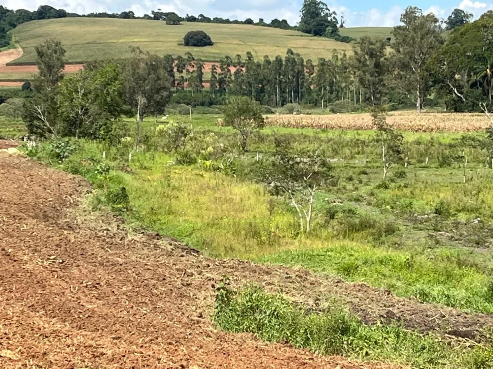 Sítio, 1 quarto, 16 hectares - Foto 7