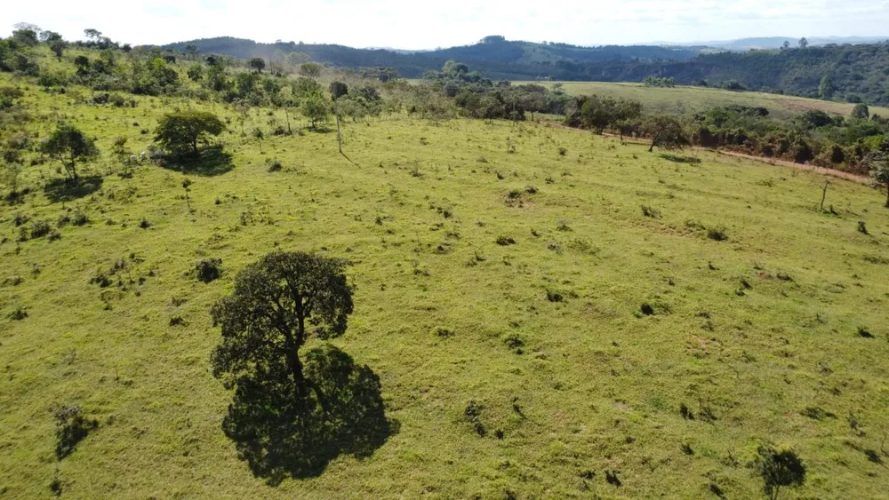 Terreno, 8000 m² - Foto 3