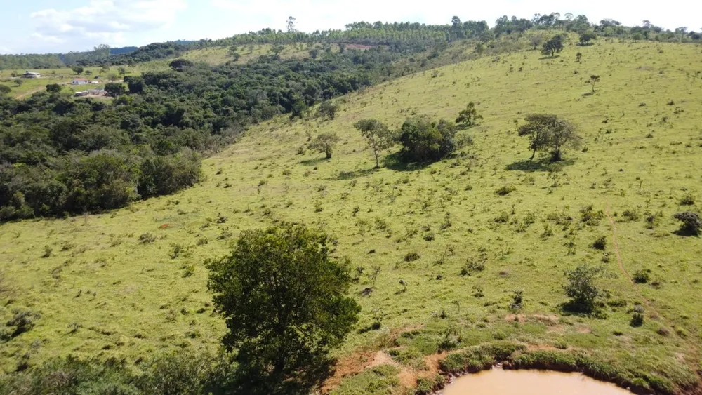Terreno, 8000 m² - Foto 5