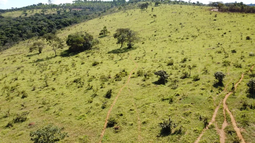 Terreno, 8000 m² - Foto 8