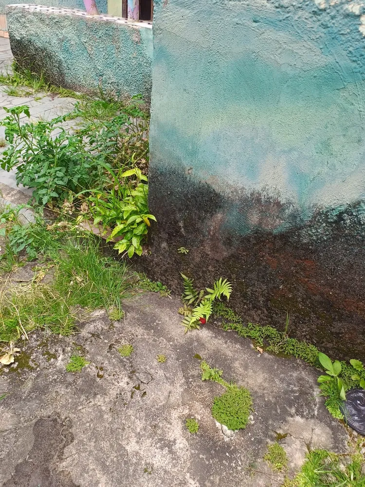 Terreno, 378 m² - Foto 2