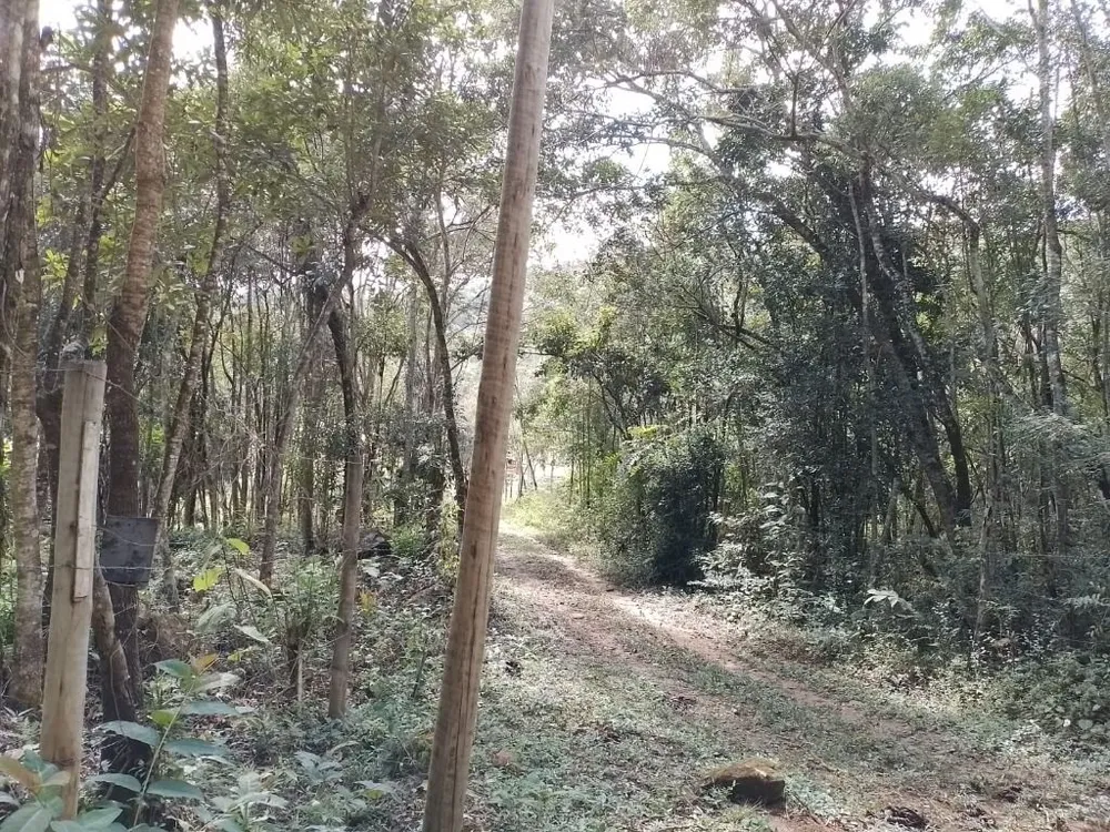 Terreno, 1000 m² - Foto 7