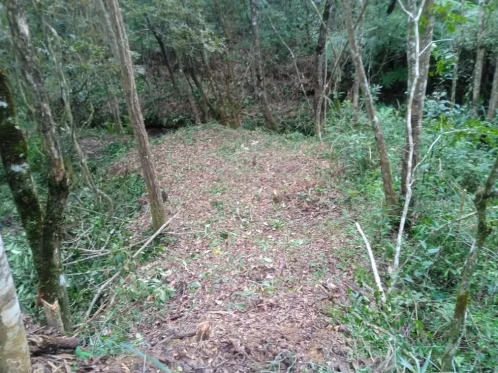 Terreno, 1000 m² - Foto 17