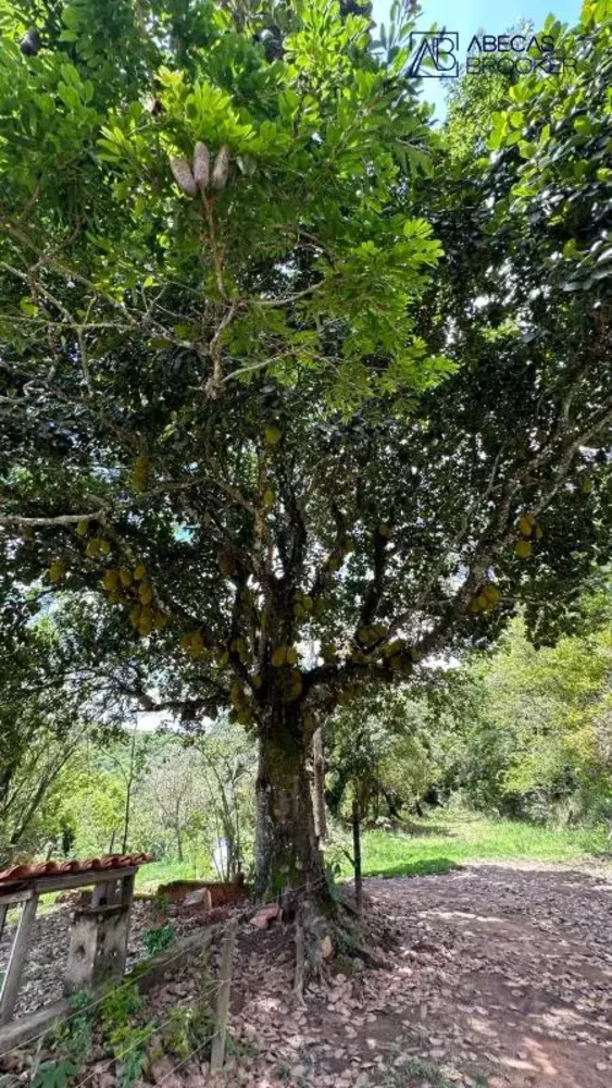 Fazenda, 1 quarto - Foto 6