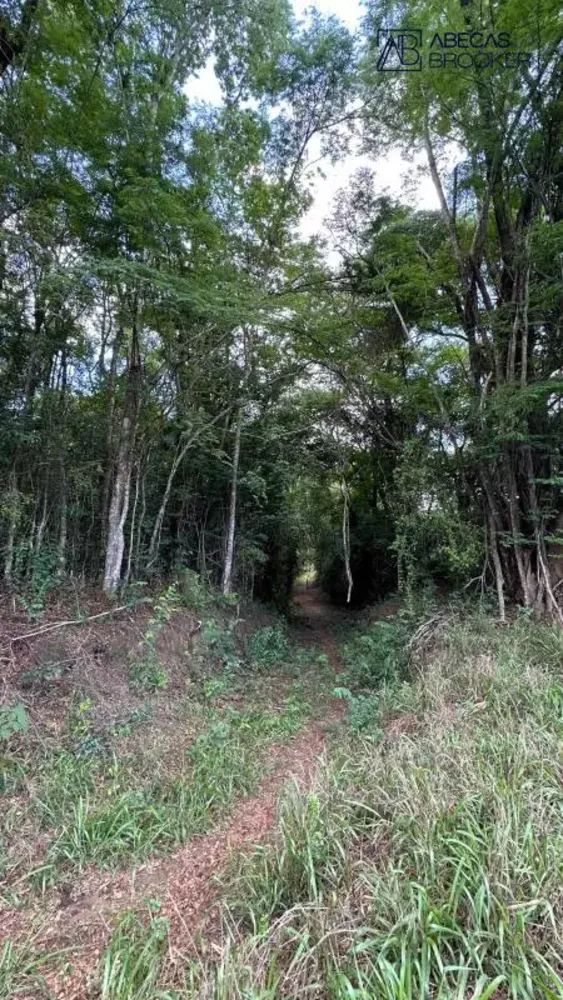 Fazenda, 1 quarto - Foto 12