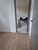 Apartamento, 3 quartos, 95 m² - Foto 4
