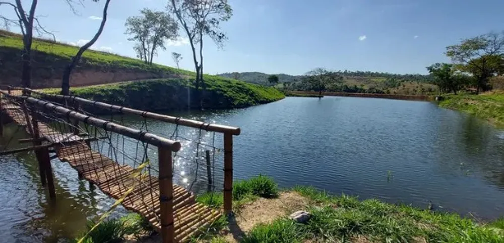 Terreno, 2 hectares - Foto 8