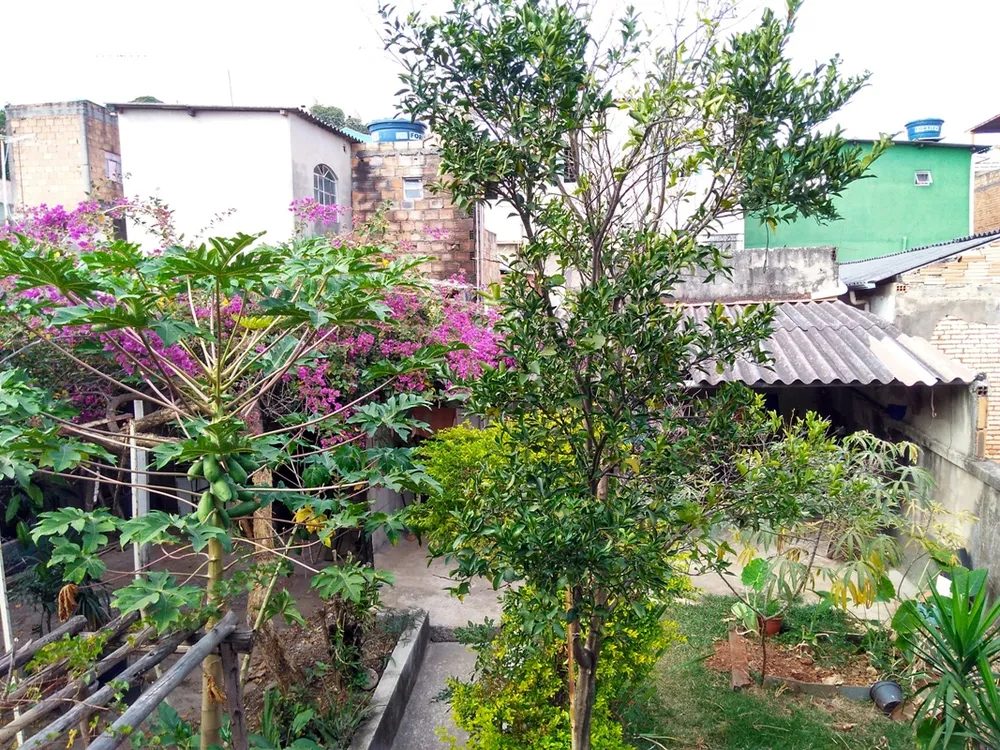 Casa, 6 quartos, 238 m² - Foto 13