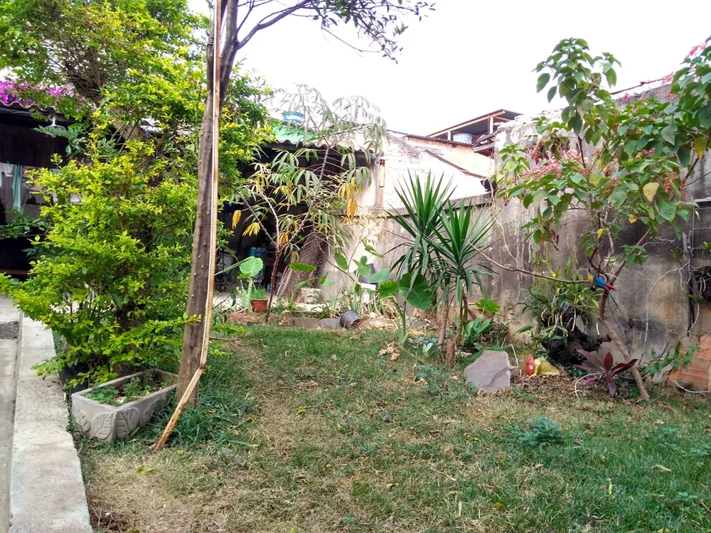 Casa, 6 quartos, 238 m² - Foto 14