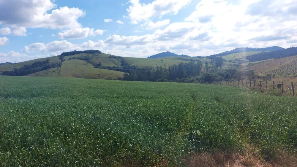Sítio, 1 quarto, 39 hectares - Foto 10